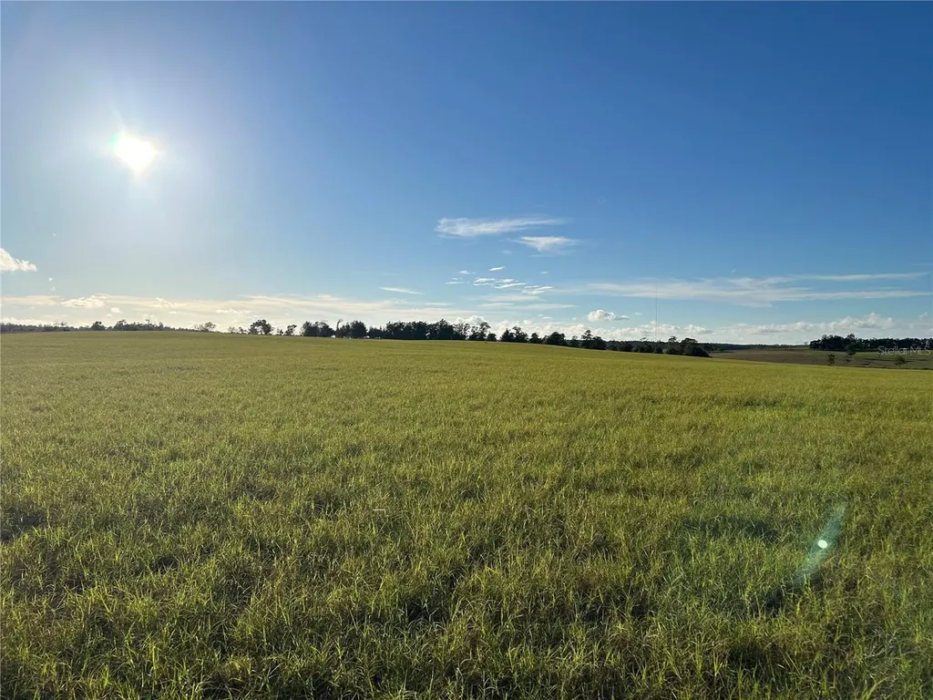 Tbd SE 150th Avenue Morriston FL 32668