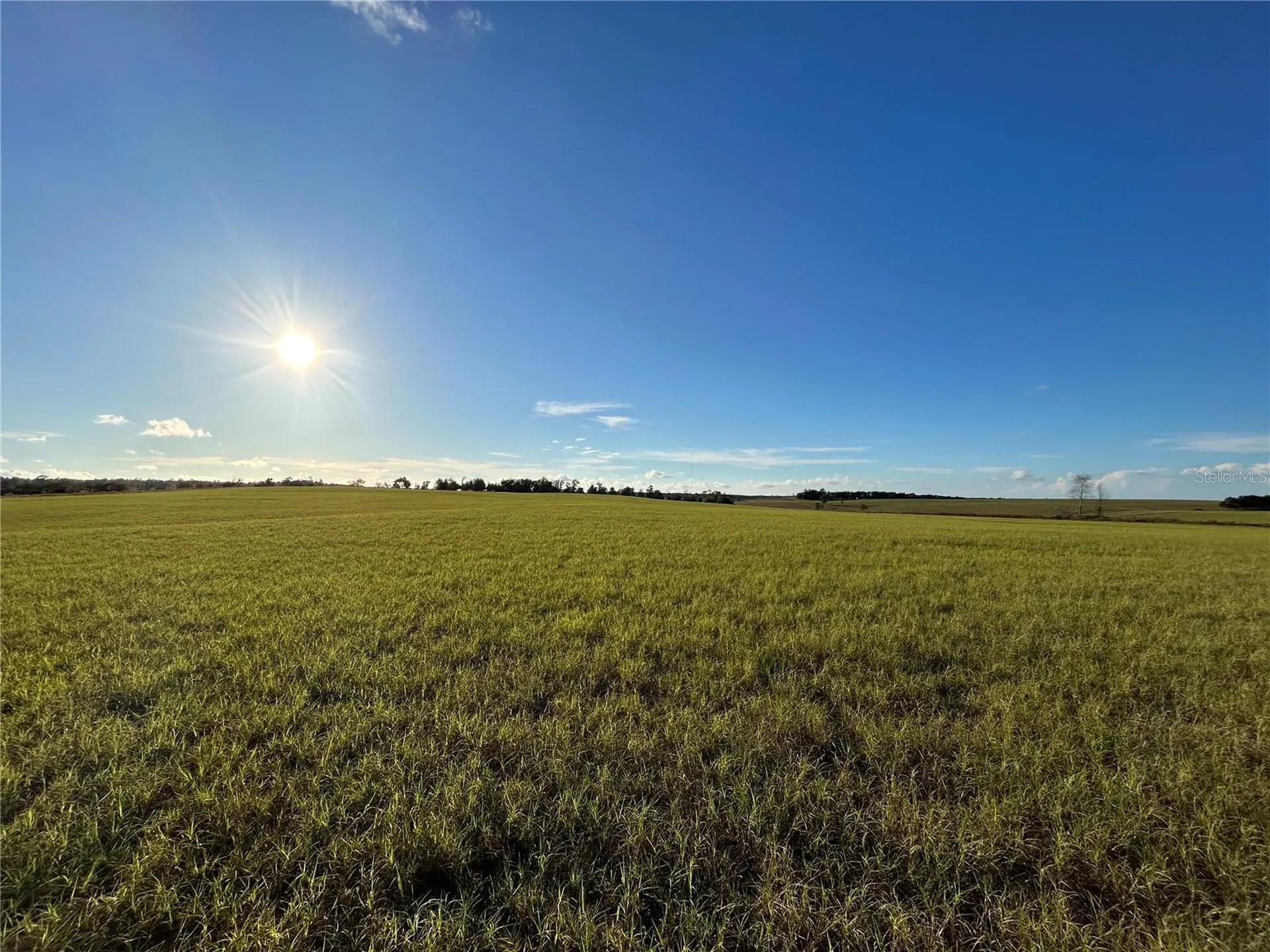 Tbd SE 150th Avenue Morriston FL 32668