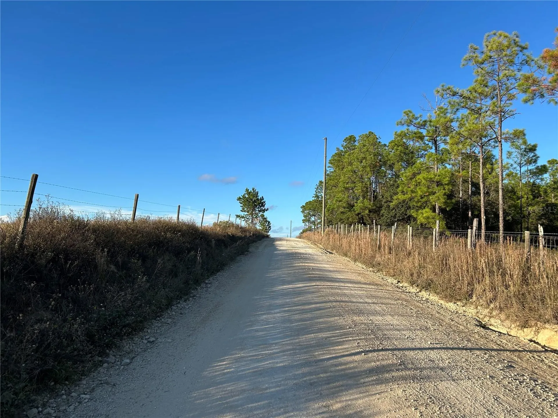 Tbd SE 150th Avenue Morriston FL 32668