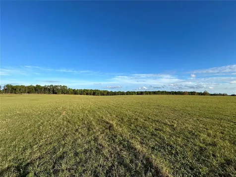 Tbd SE 150th Avenue Morriston FL 32668