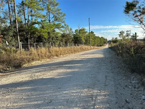 Tbd SE 150th Avenue Morriston FL 32668
