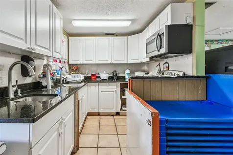 9912 N Myrtle Street Tampa FL 33617