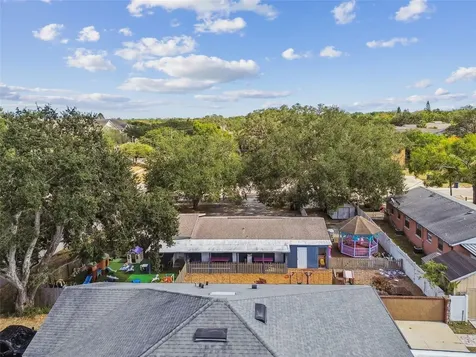 9912 N Myrtle Street Tampa FL 33617