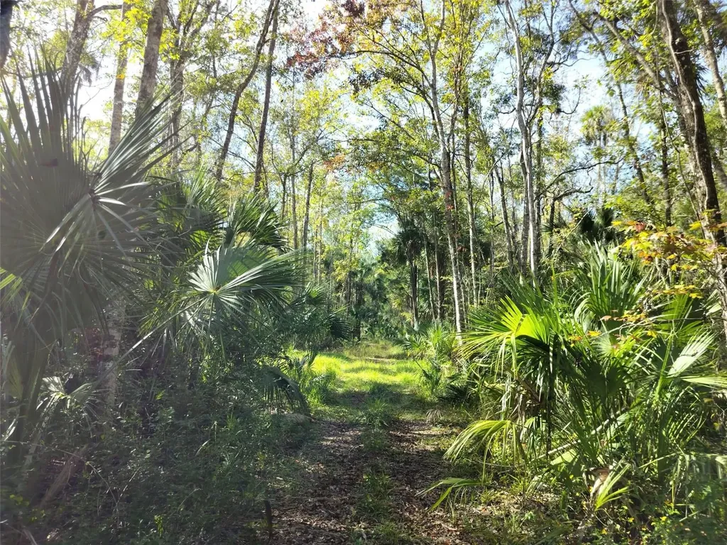 10008 W Pennsylvania Street Homosassa FL 34448