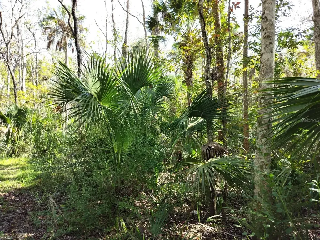 10008 W Pennsylvania Street Homosassa FL 34448
