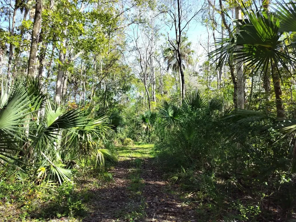 10008 W Pennsylvania Street Homosassa FL 34448