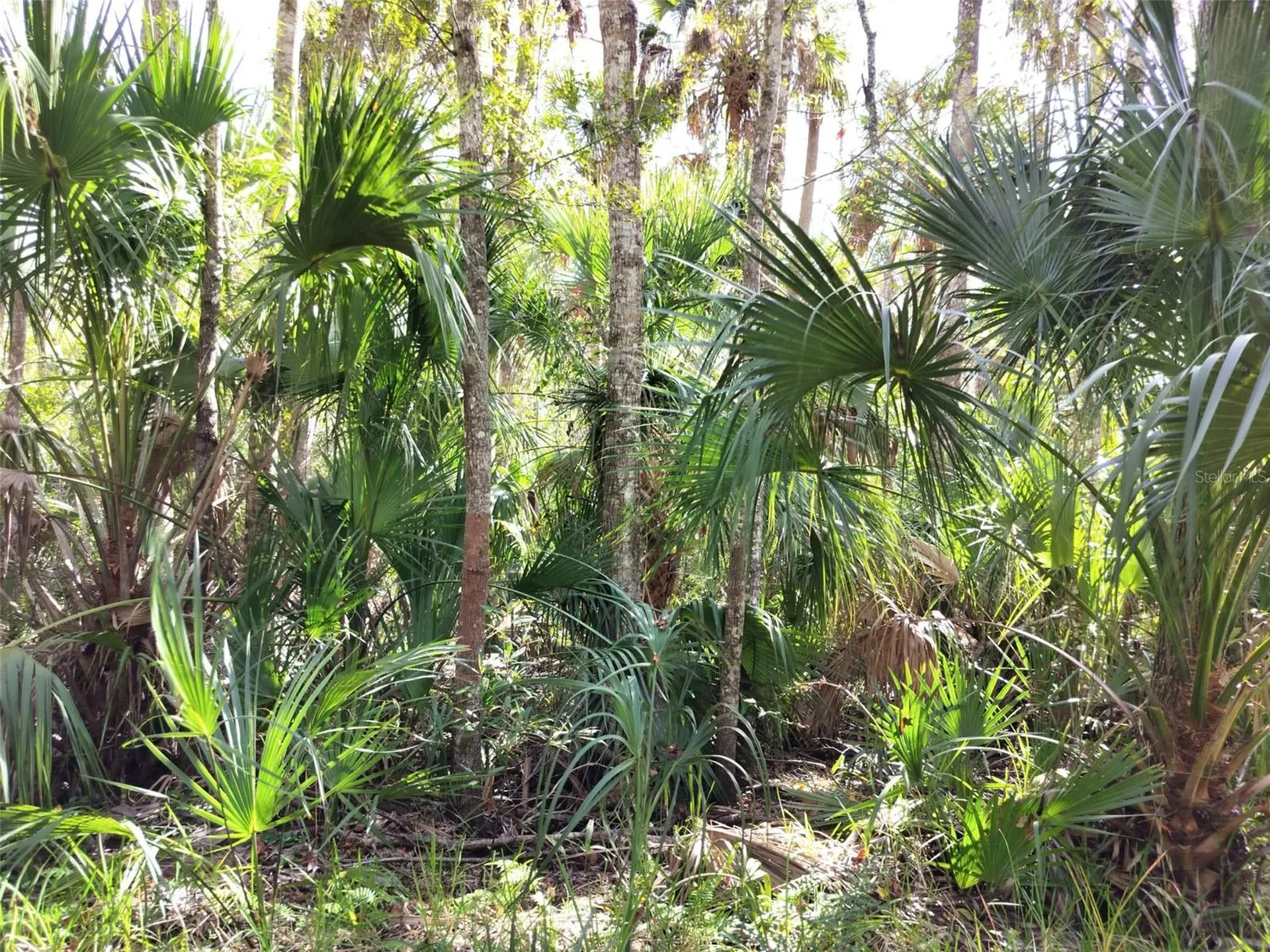 10008 W Pennsylvania Street Homosassa FL 34448