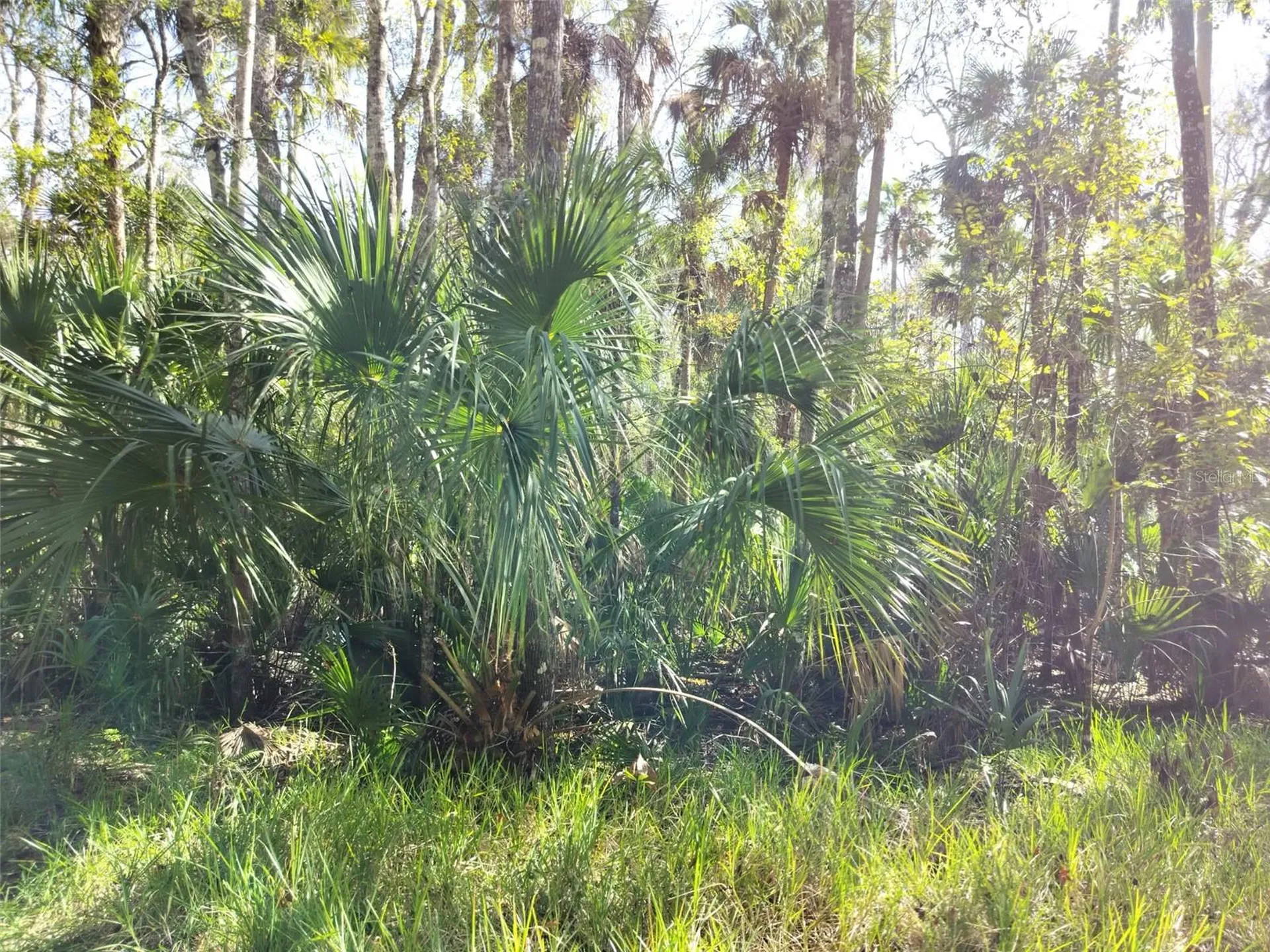 10008 W Pennsylvania Street Homosassa FL 34448