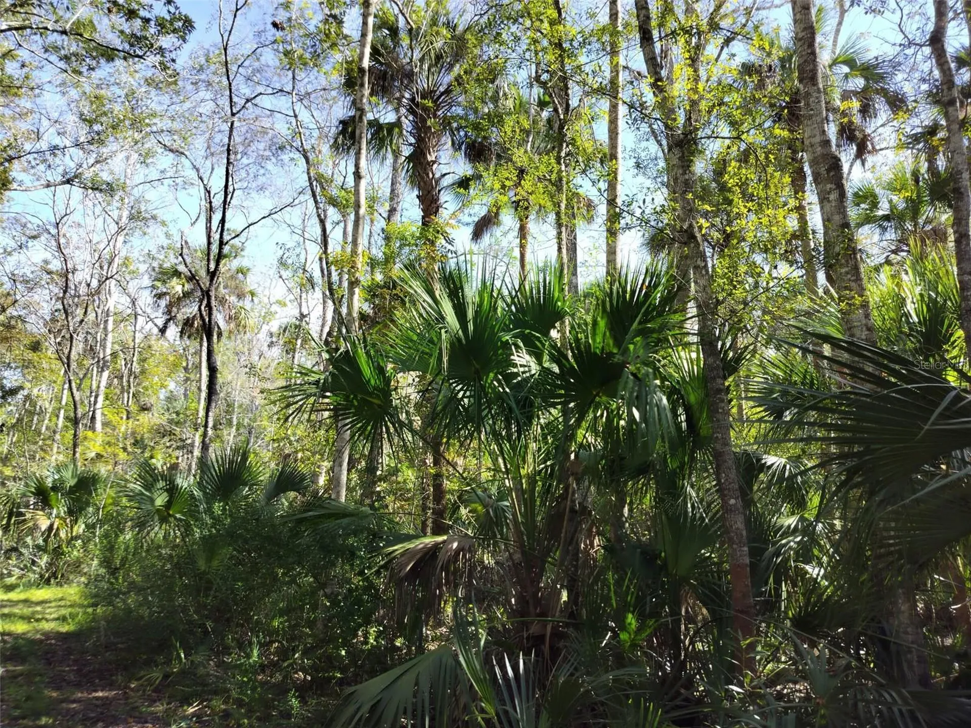 10008 W Pennsylvania Street Homosassa FL 34448