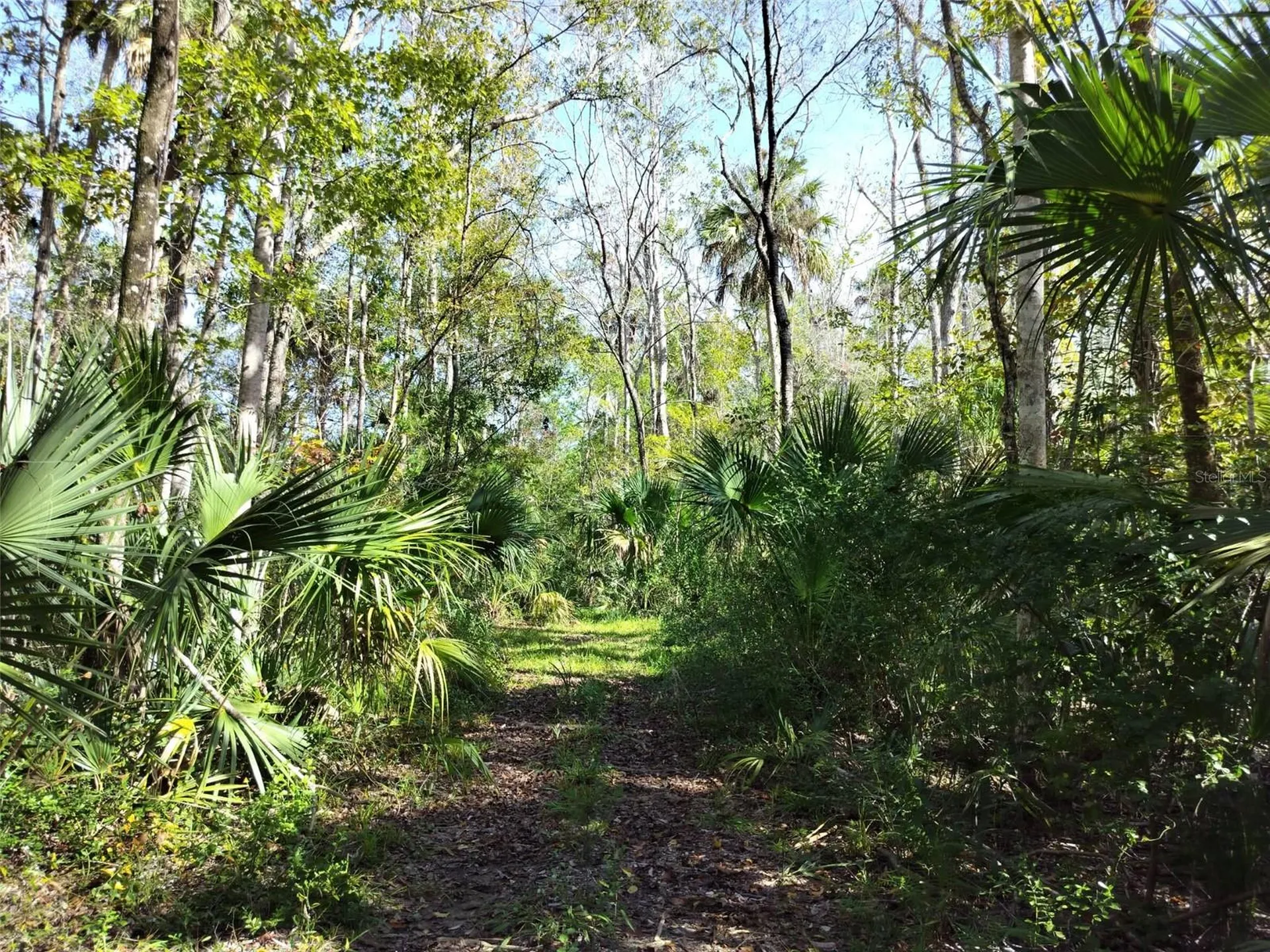 10008 W Pennsylvania Street Homosassa FL 34448