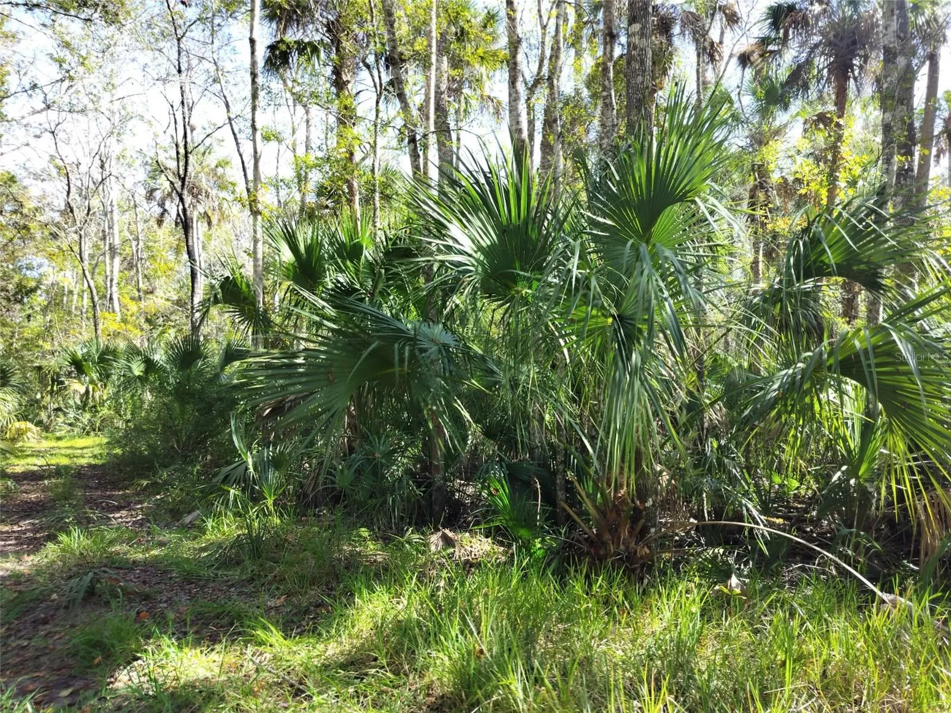 10008 W Pennsylvania Street Homosassa FL 34448