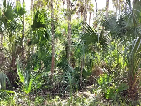 10008 W Pennsylvania Street Homosassa FL 34448