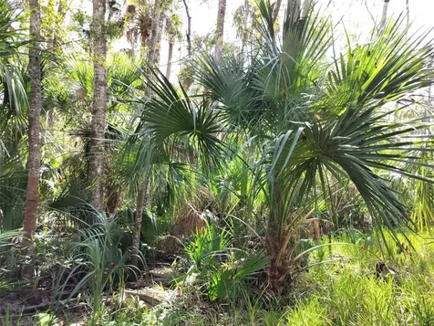 10008 W Pennsylvania Street Homosassa FL 34448