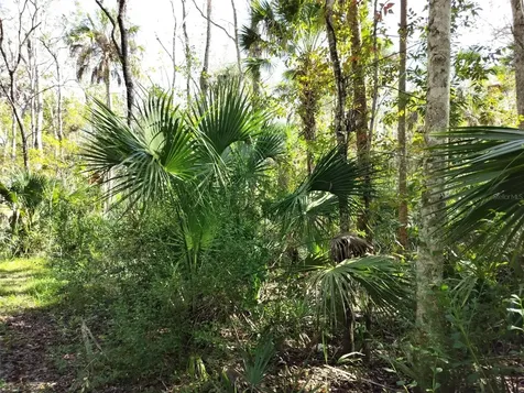 10008 W Pennsylvania Street Homosassa FL 34448