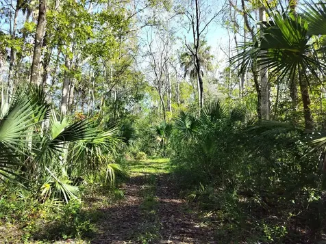 10008 W Pennsylvania Street Homosassa FL 34448