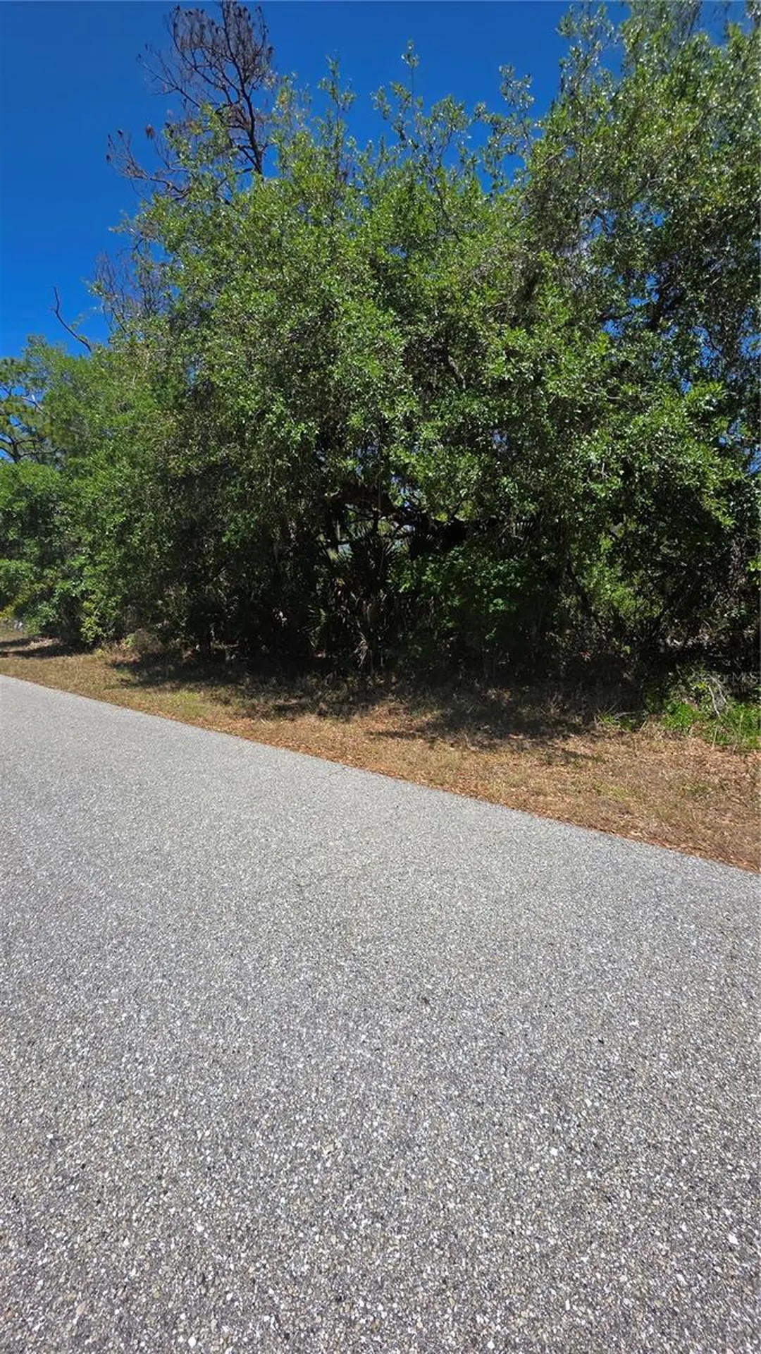 18342 Oxford Avenue Port Charlotte FL 33948