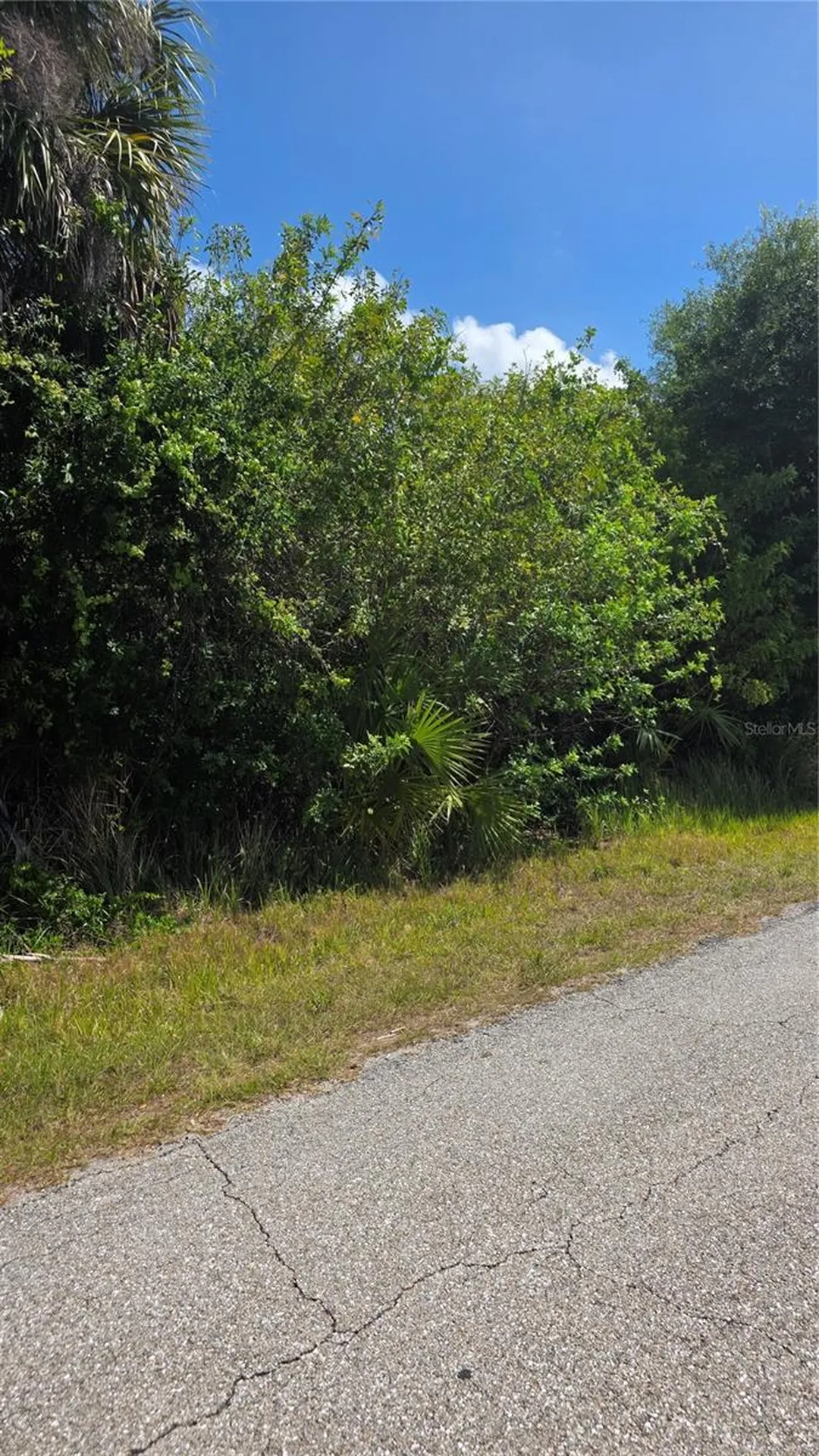 22344 Buffalo Avenue Port Charlotte FL 33952