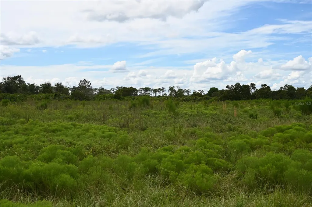 County Line Road E Fort Meade FL 33841