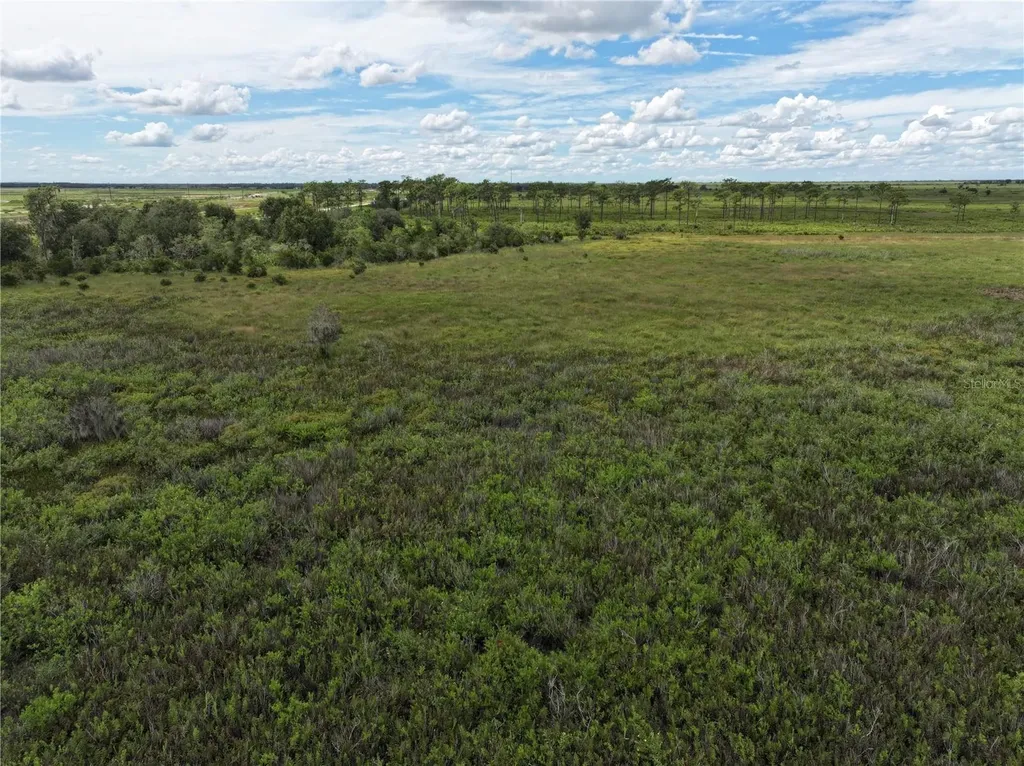 County Line Road E Fort Meade FL 33841