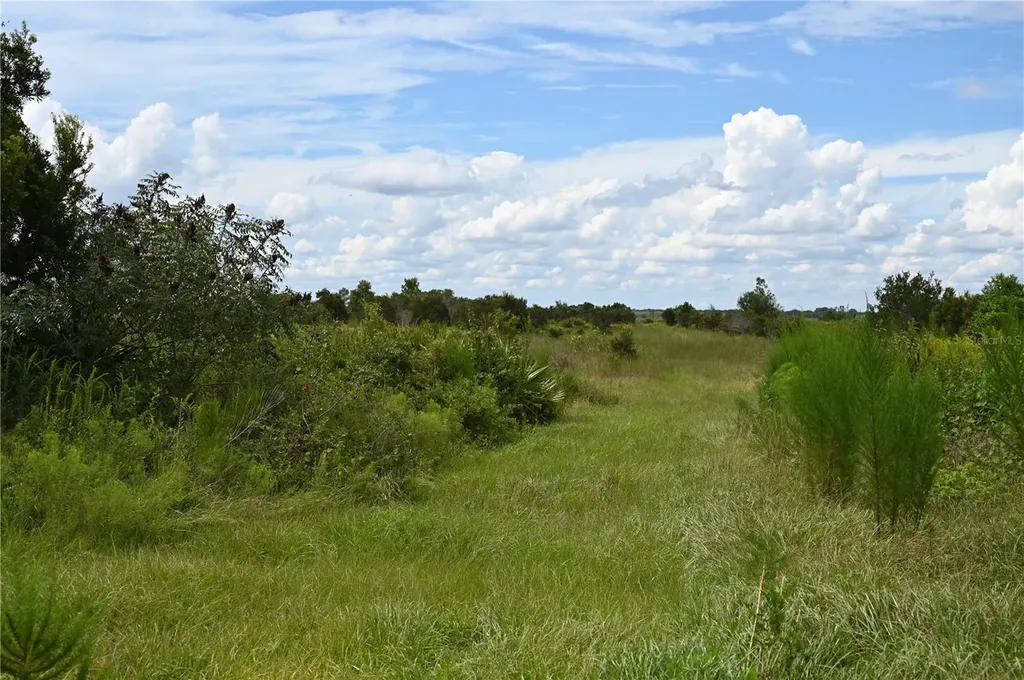 County Line Road E Fort Meade FL 33841