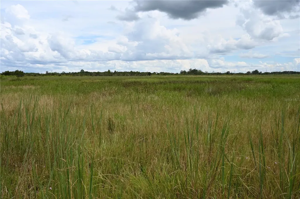 County Line Road E Fort Meade FL 33841