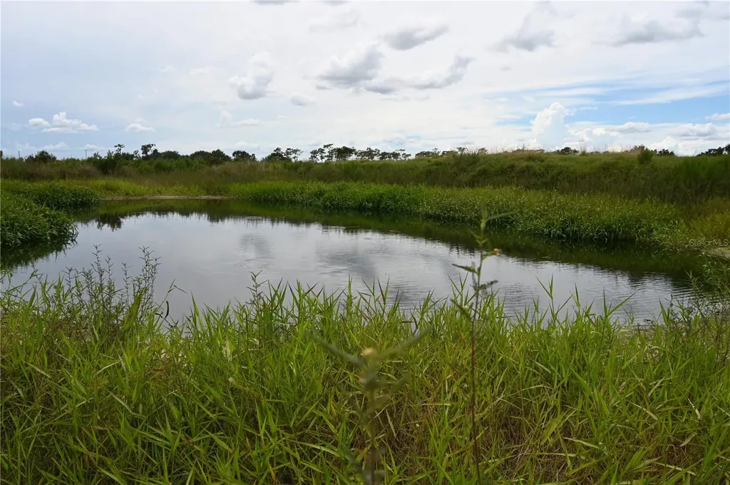 County Line Road E Fort Meade FL 33841
