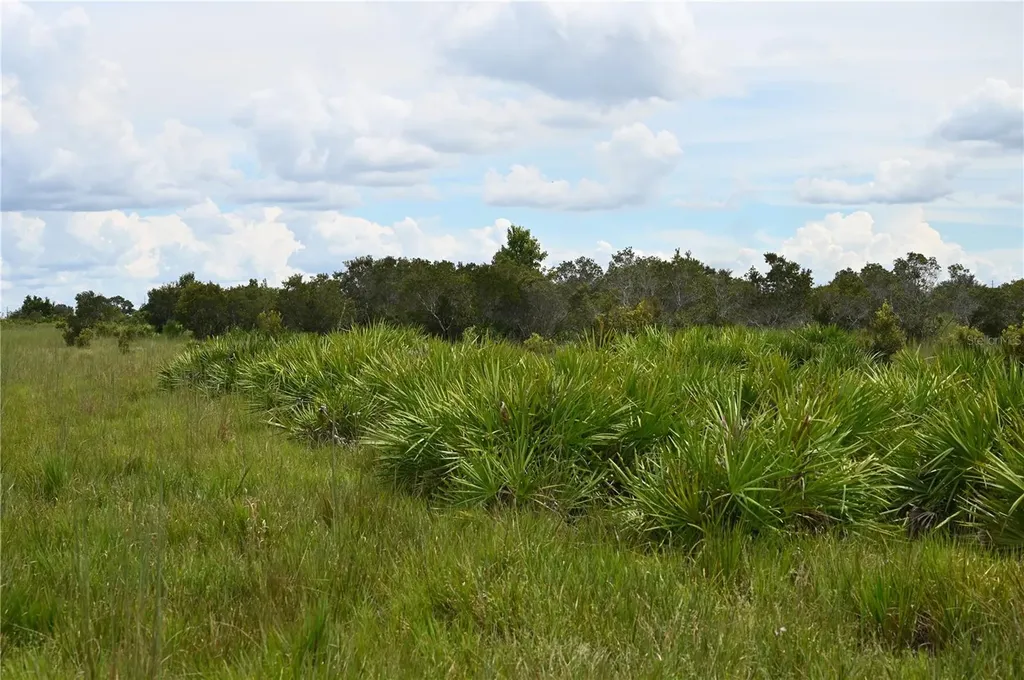 County Line Road E Fort Meade FL 33841