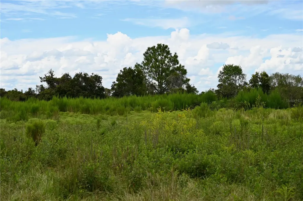 County Line Road E Fort Meade FL 33841