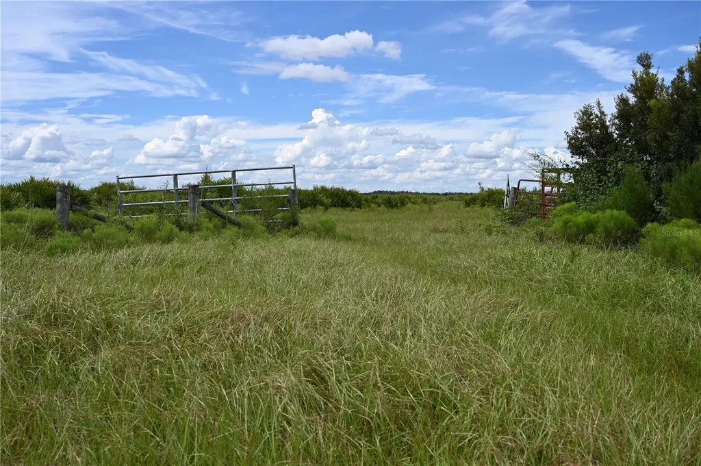 County Line Road E Fort Meade FL 33841