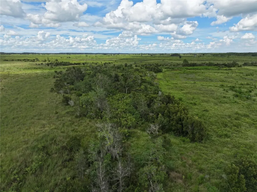 County Line Road E Fort Meade FL 33841