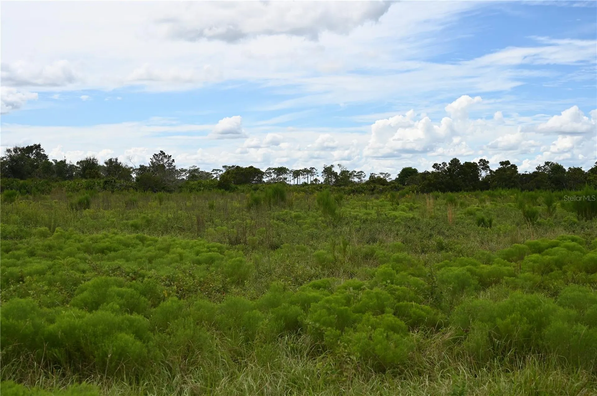 County Line Road E Fort Meade FL 33841