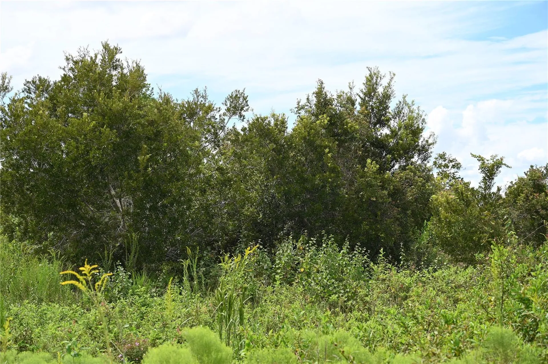 County Line Road E Fort Meade FL 33841