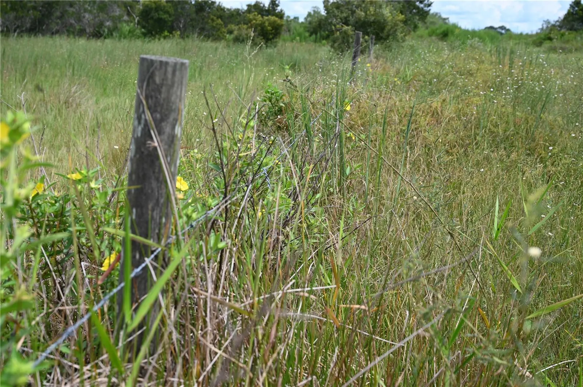 County Line Road E Fort Meade FL 33841