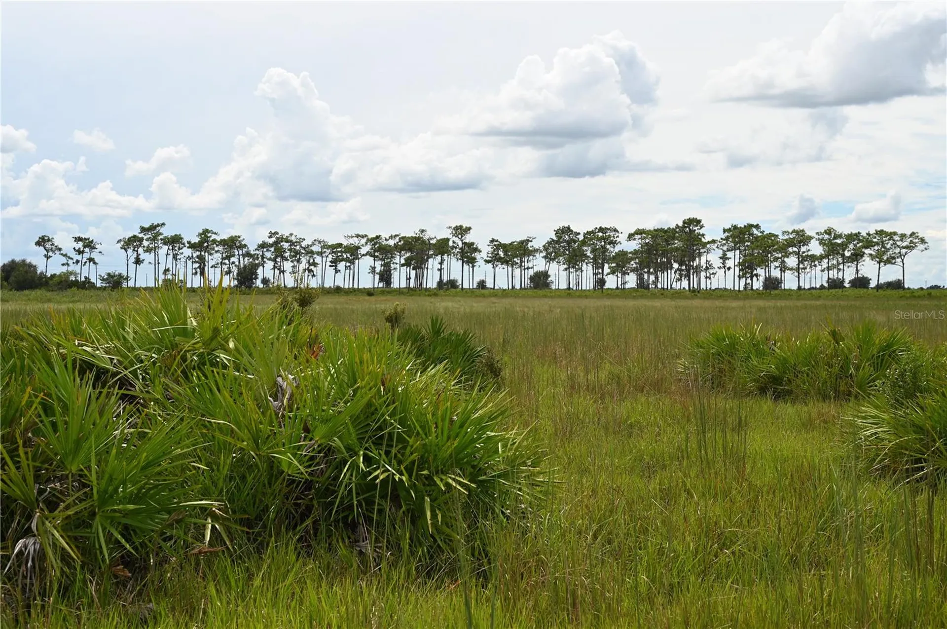 County Line Road E Fort Meade FL 33841