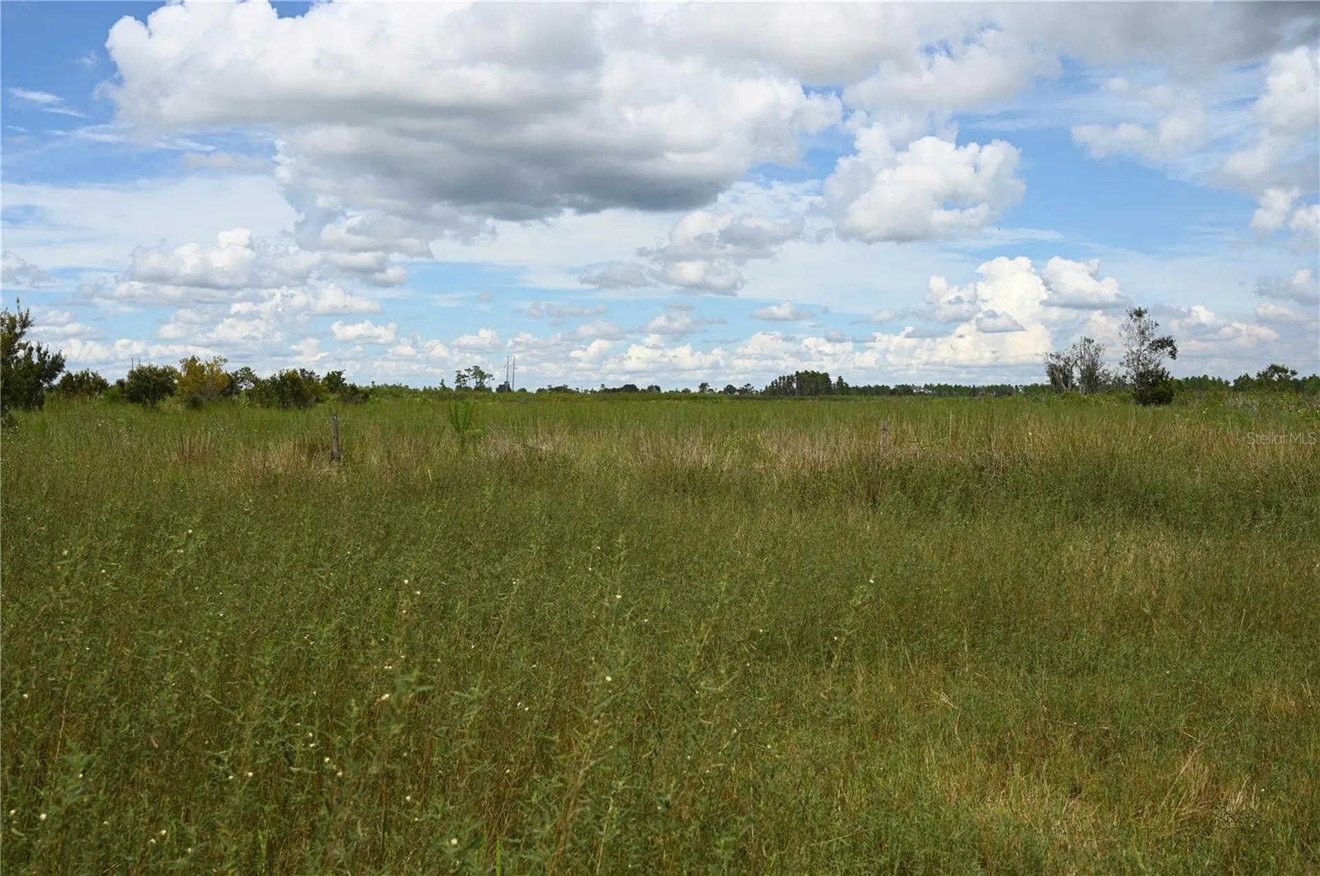 County Line Road E Fort Meade FL 33841