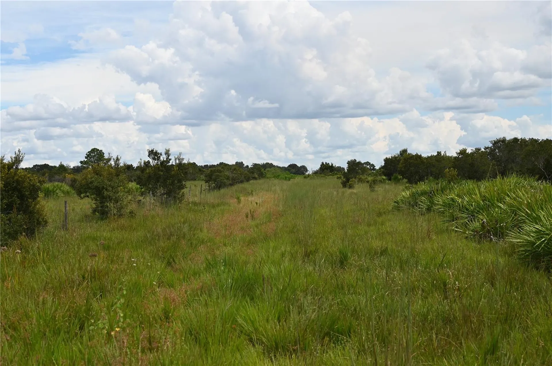 County Line Road E Fort Meade FL 33841