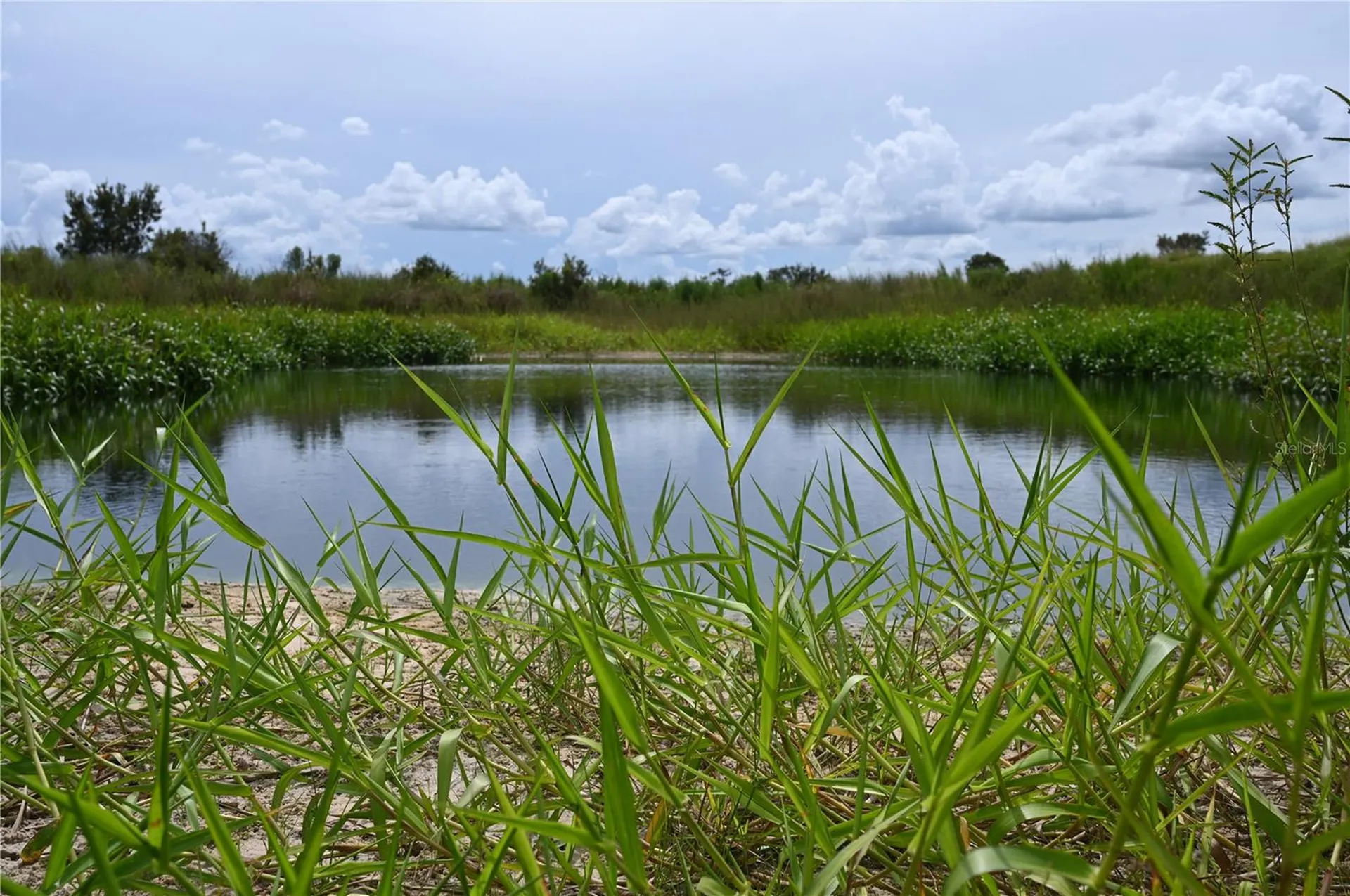 County Line Road E Fort Meade FL 33841