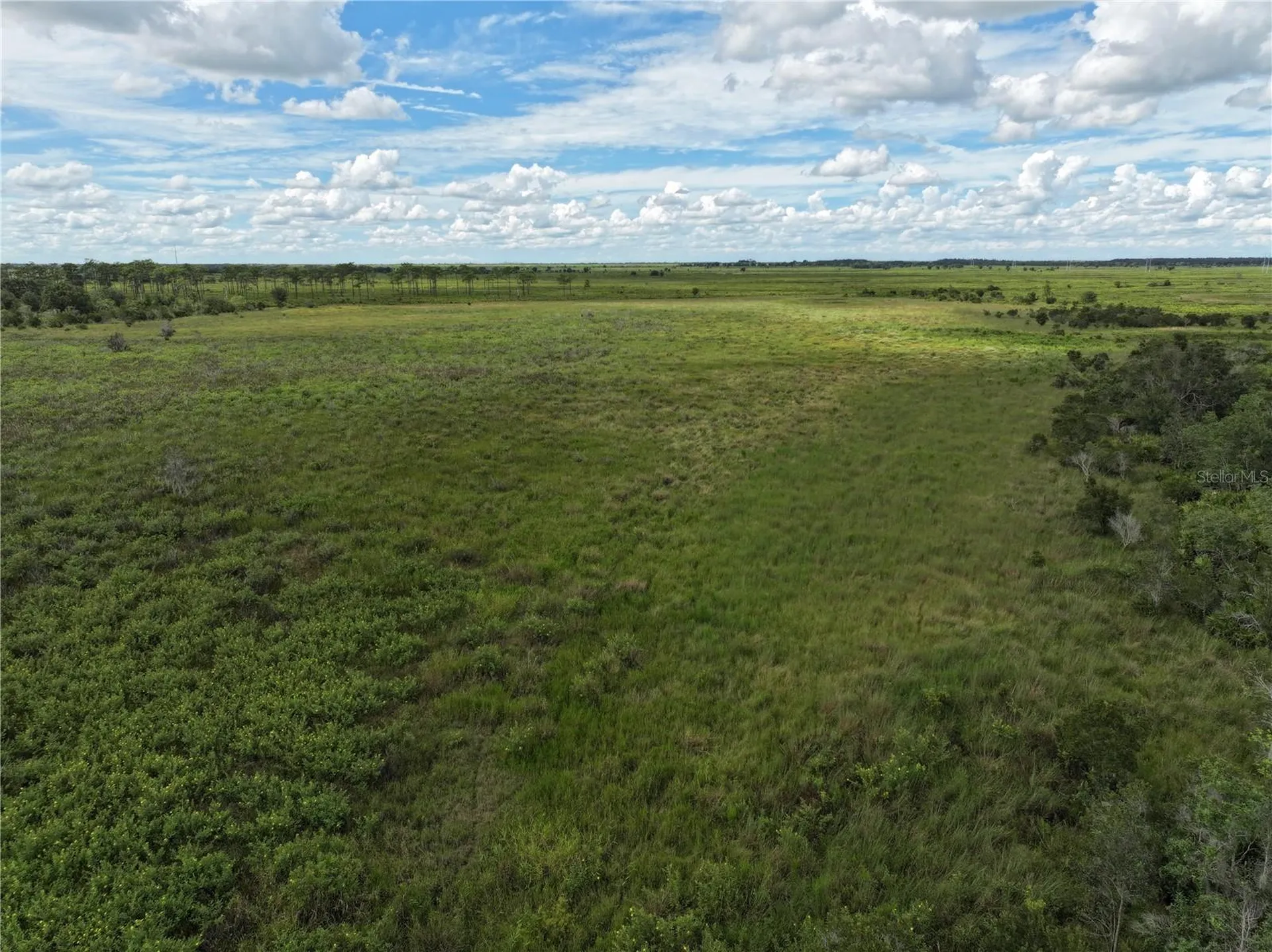 County Line Road E Fort Meade FL 33841