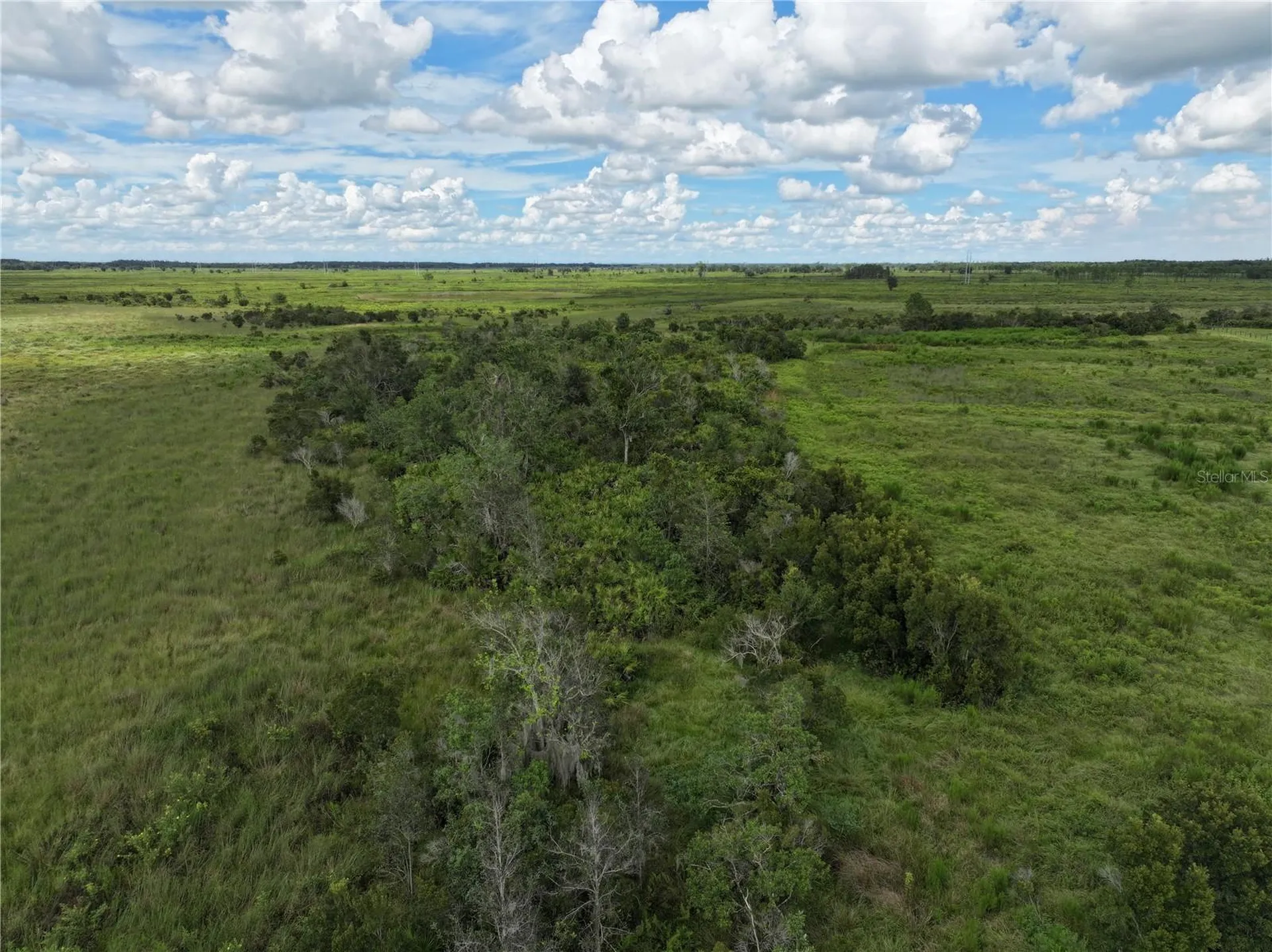 County Line Road E Fort Meade FL 33841