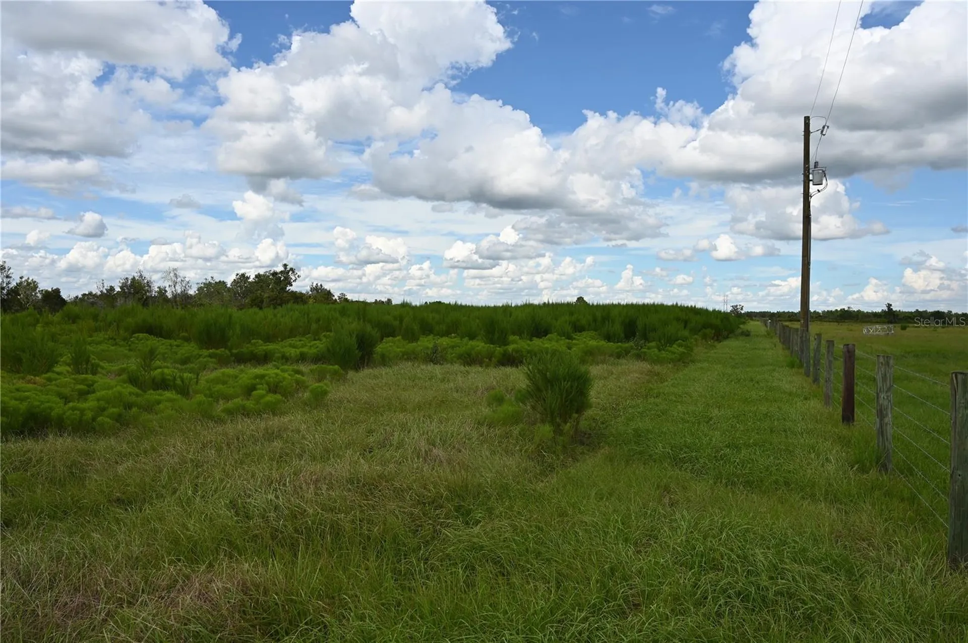 County Line Road E Fort Meade FL 33841
