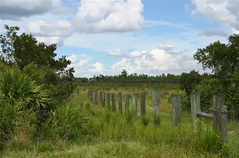County Line Road E Fort Meade FL 33841