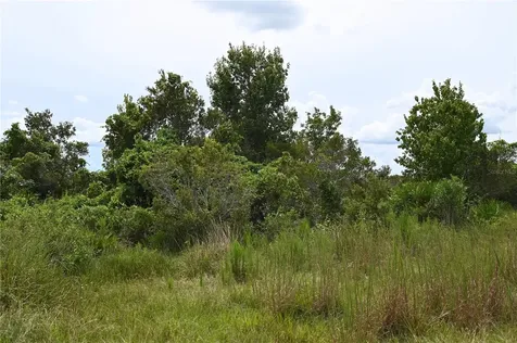 County Line Road E Fort Meade FL 33841