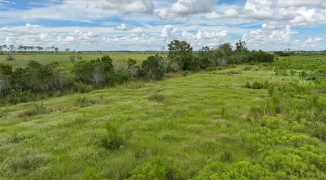 County Line Road E Fort Meade FL 33841