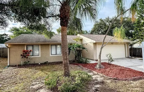 2884 Cinnamon Bear Trail Palm Harbor FL 34684
