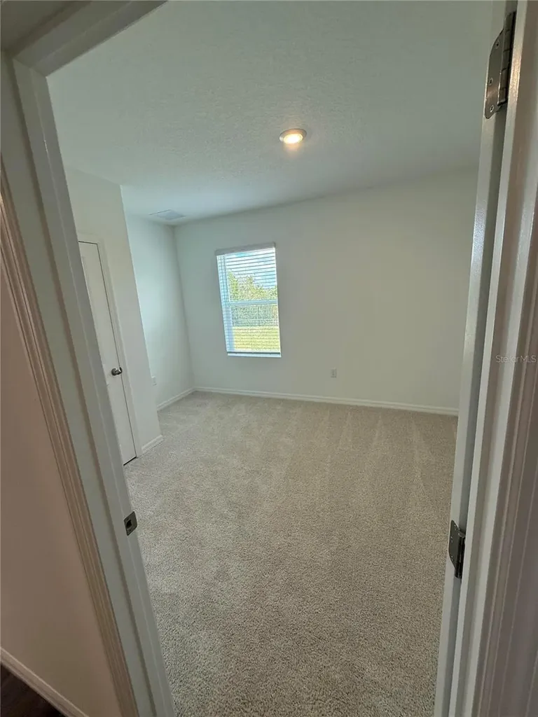 32514 Weathered Oak D Drive Wesley Chapel FL 33543