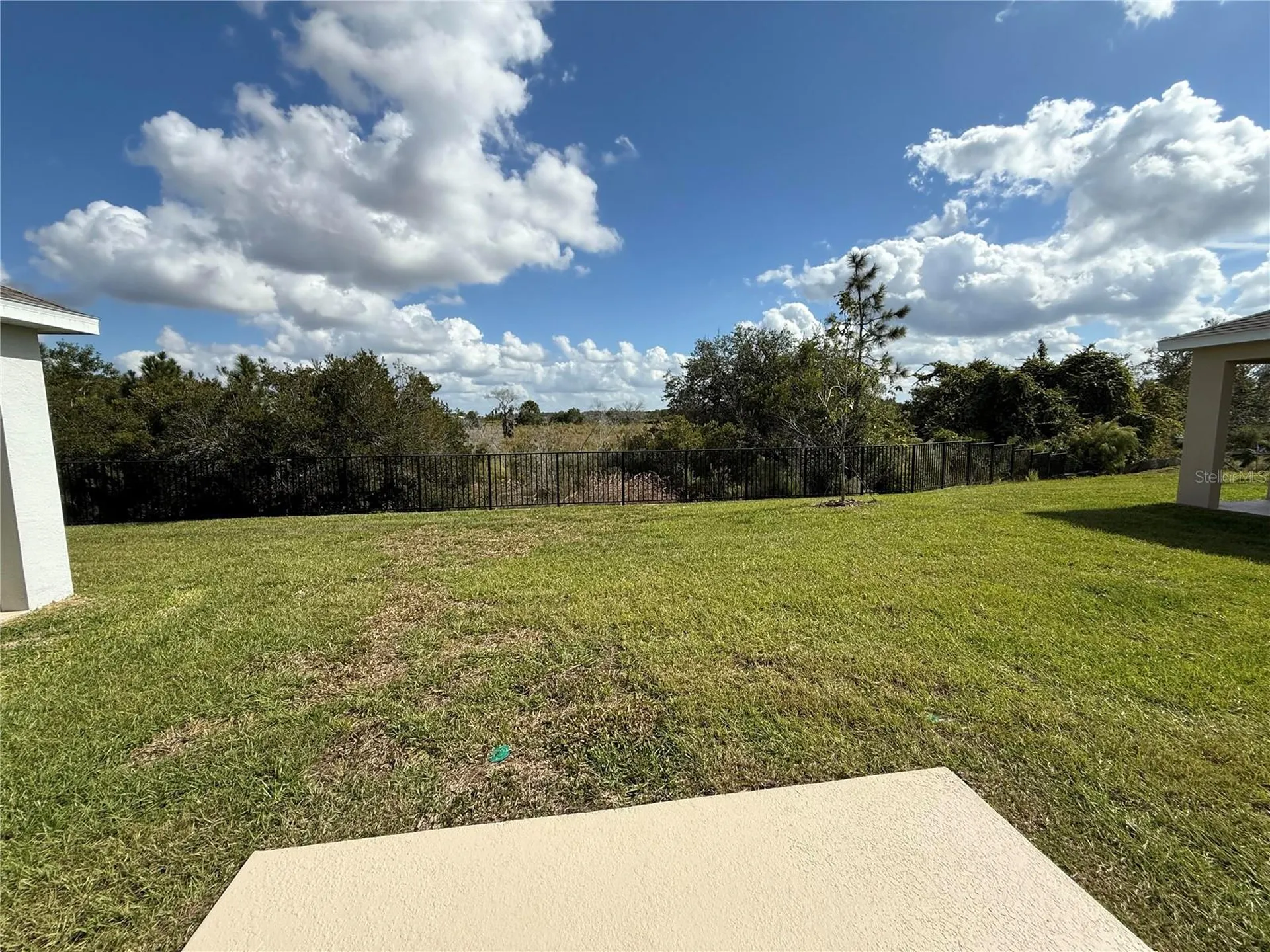 32514 Weathered Oak D Drive Wesley Chapel FL 33543