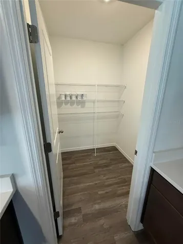 32514 Weathered Oak D Drive Wesley Chapel FL 33543