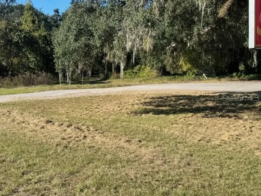 11542 S Us Highway 301 Webster FL 33597