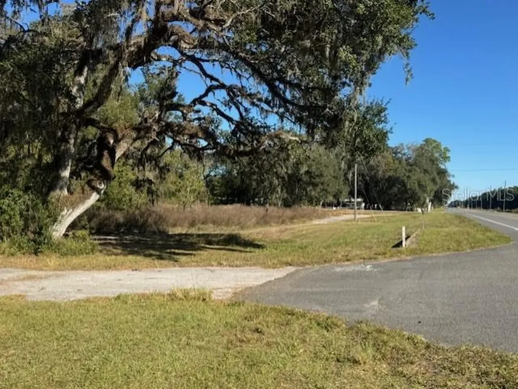 11542 S Us Highway 301 Webster FL 33597
