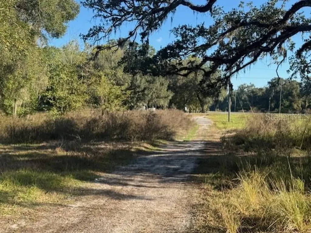 11542 S Us Highway 301 Webster FL 33597